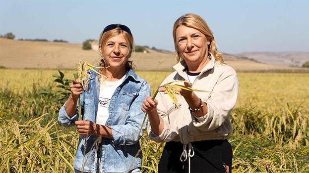 Edirne'de biri memur, diğeri esnaf olarak çalışan kardeşler köylerine dönüp üretime başladı