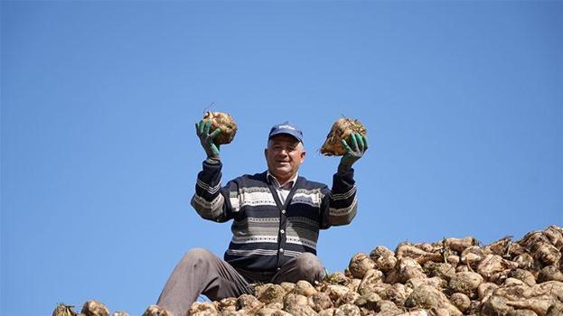 Bereketli topraklarda hasat zamanı! 'İklim değişti, erken başladı'