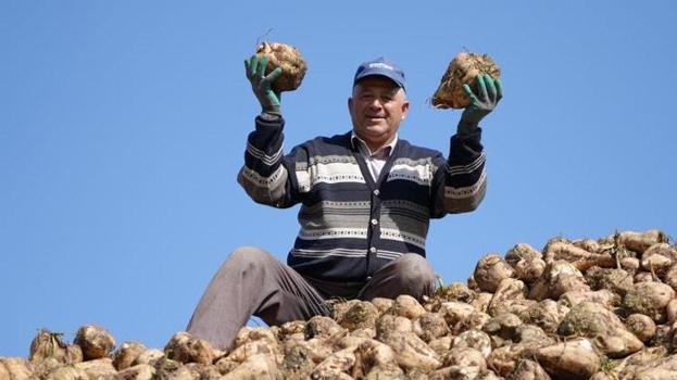 Erzincan'ın bereketli topraklarında pancar hasadı başladı