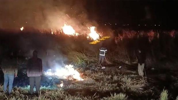 Birçok kuş türünün yaşadığı Nehil Sazlığı'ndaki yangın çıktı