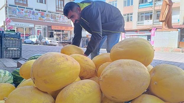 Tunceli'nin kış kavunu tezgahlardaki yerini aldı