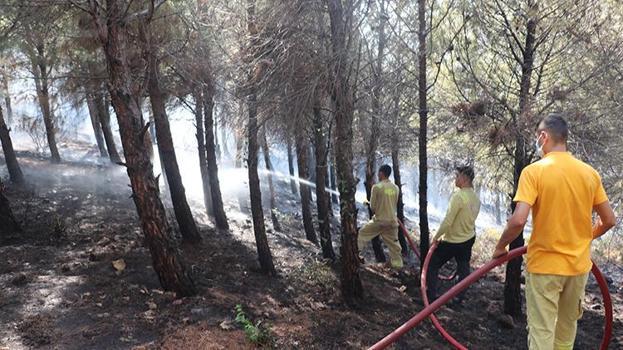 Hatay'da ormanlık alanda çıkan yangın söndürüldü