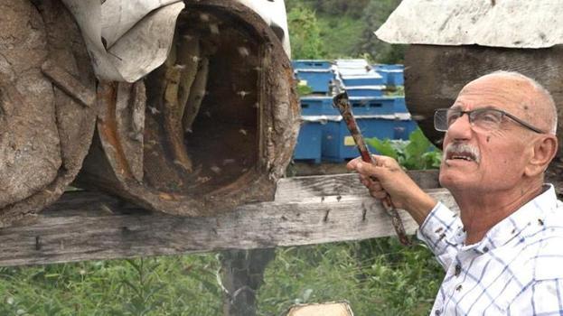 Rize'de karakovan balının hasadı tamamlandı, fiyatı belirlendi! Şifa kaynağı