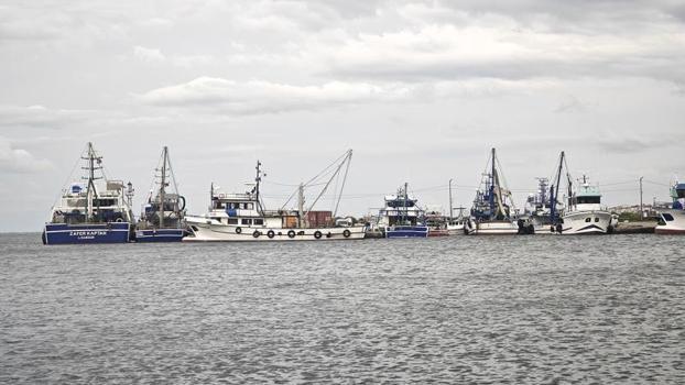 Karadeniz'de balıkçılar denize açılamadı