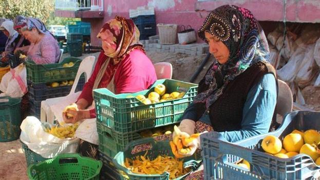 Manisa'da üretiliyor kalp dahil birçok organa iyi geliyor! Kilosu 10 eurodan yok satıyor