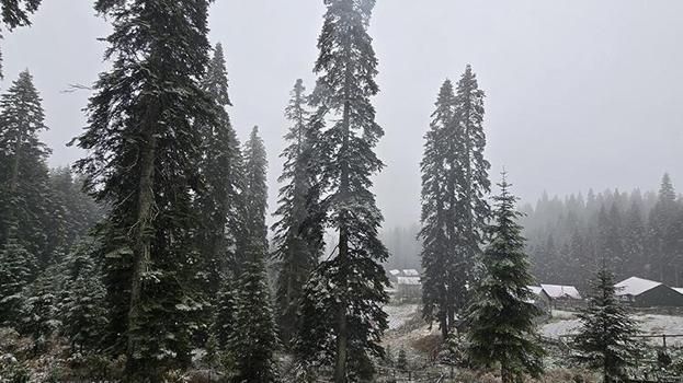 Düzce ve Bolu'nun yüksek kesimlerine kar yağdı