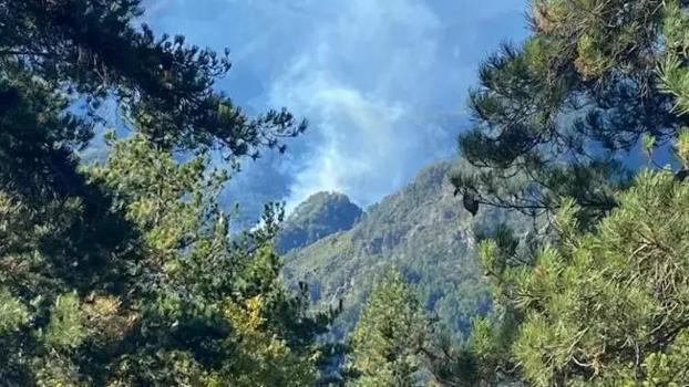 Hatay Dörtyol'da orman yangını: hava ve karadan müdahale ediliyor