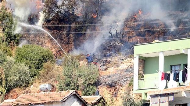 Antalya'da elektrik telleri ağılın üzerine düştü: 50'ye yakın keçi ve koyun telef oldu