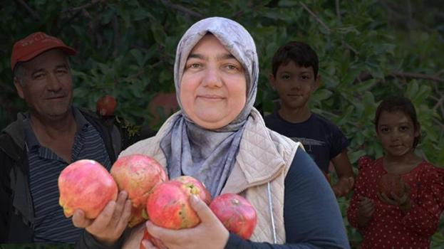 Fiyatlar yüzde 50 düştü! Bilecik'ten tüm Türkiye'ye gönderiliyor