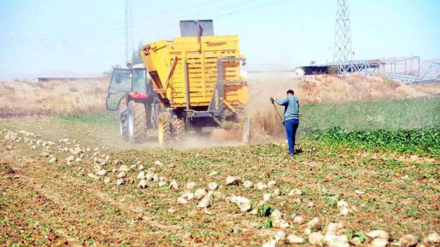 Kahramanmaraş'ta çiftçi sulama yöntemini değiştirdi, rekolte  100 bin ton arttı