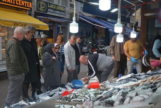 Sinop'ta balık tezgahlar balıklarla şenlendi: 1,3 kiloluk palamutlar 100 lira