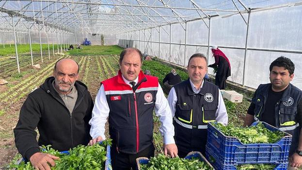 Türkiye'nin sebze ve meyve ambarı Erzincan'da çiftçiye büyük destek! 'Daha fazla üretmek istiyoruz'