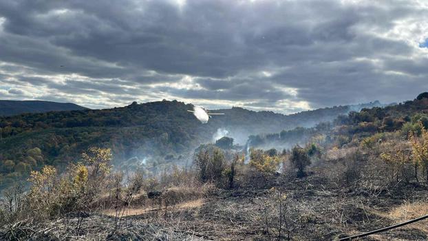 Çanakkale'de ormanlık alanda yangın: Ekiplerin müdahalesiyle kontrol altına alındı