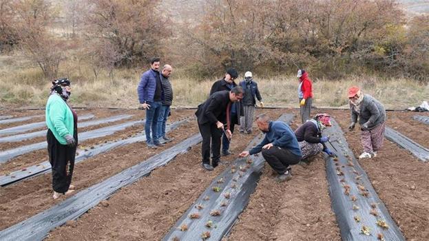 Erzincan çileğin merkezi olacak! 'Yeni projelerimiz devam edecek'