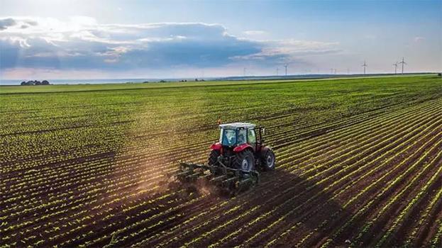 Tarımın geleceği tehlikede: Kuraklık hububatta ekim takvimini değiştirdi