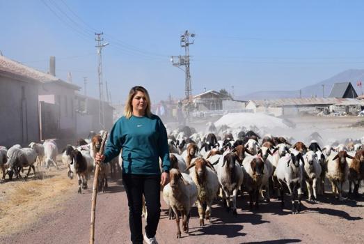 Karaman'da üniversiteli anne hem koyunlarına hem de kendi kuzusuna bakıyor