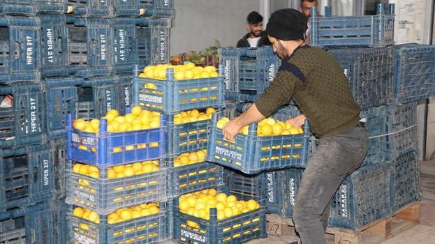 Limonda hal ve market fiyatında makas 10 kat açıldı