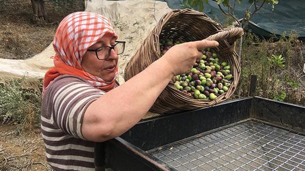 Günlük 3 bin lira yevmiye ile çalışacak eleman bulamıyorlar!