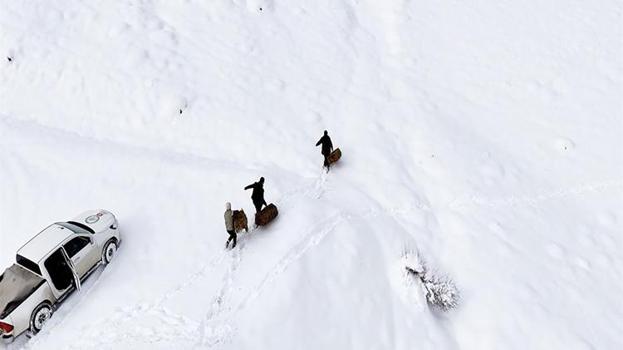 Erzincan'da yabani hayvanlar için doğaya yem bırakıldı