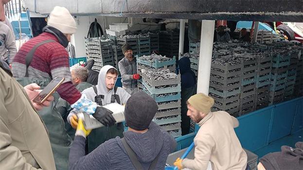 Karadeniz'den hamsi fışkırdı! Fiyatlar dibi gördü