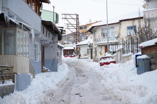 Bir şehir kar altında kaldı! 80 santimetreye ulaştı: Kuşlar dondu, çatılar çöktü!