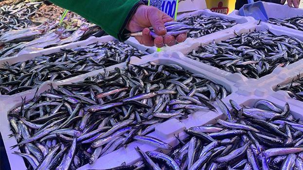 Karadeniz'de havalar soğudu, balık çeşitliliği arttı hamsi 100 liraya düştü