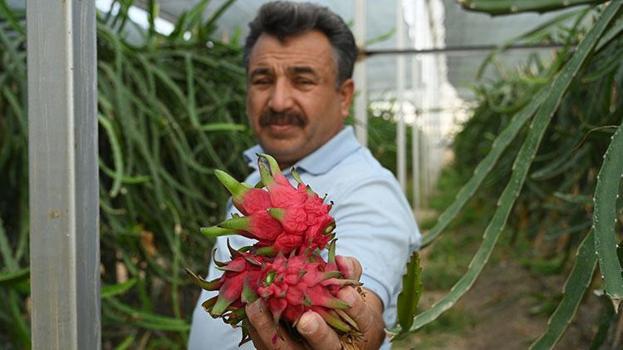 Baba mesleğini bıraktı, bu işe yöneldi! Şimdi tonlarca üretim yapıyor