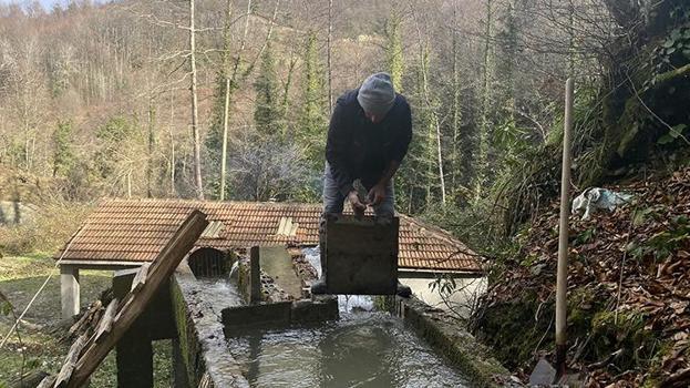 Sinop'ta 200 yıllık dede yadigarı su değirmeninin taşlarını torunu döndürüyor