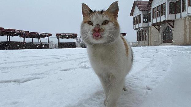 Yılbaşına günler kala kar yağışı etkisini artırıyor! Meteoroloji Genel Müdürlüğü önümüzdeki 5 günün hava durumunu açıkladı ve bazı bölgeleri uyardı