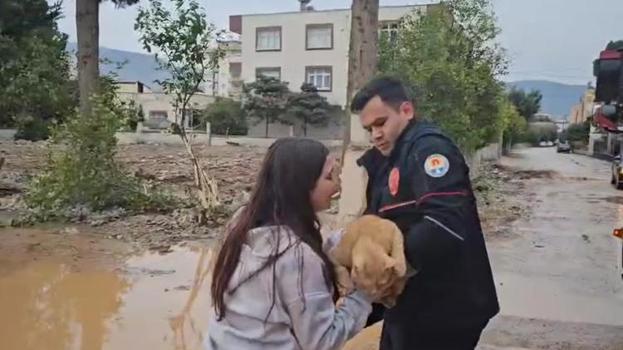 Evden kaçıp çam ağacına tırmanan kediyi itfaiye kurtardı