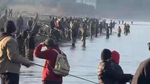 Artvin'den kaçan somonlar Gürcülere nasip oldu! Oltasını kapan sahile koştu