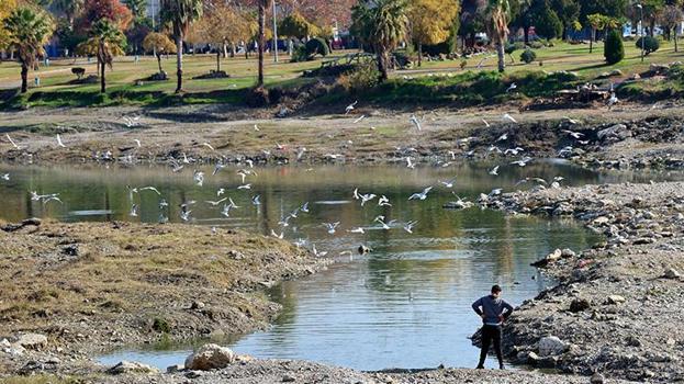 Adana'da vatandaş Seyhan Nehri'nde çuval çuval balık topladı