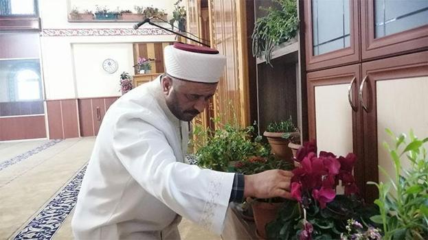 Tokatlı imam cami içini çiçek bahçesine çevirdi! 'Çocuğa bakar gibi ilgileniyorum'