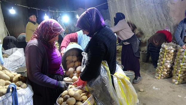 Kayseri'de kayadan oyma mağara patates deposu olarak kullanılıyor