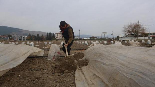 Depremzede çiftçi kışın da üretime devam etmek için tarlasına sera kuruyor