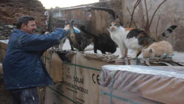 Sokak hayvanlarını bir kere besledi, o gün bu gündür beslemeye devam ediyor