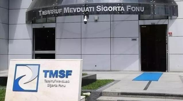 TMSF 2 şirketi satışa çıkardı