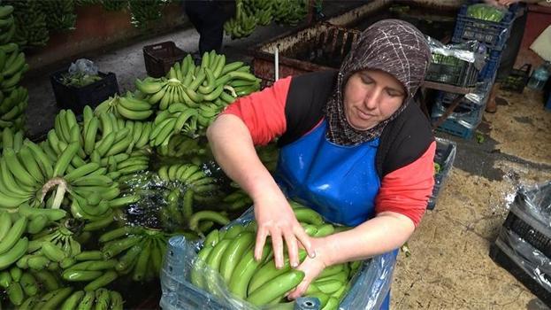 Antalya'da muz fiyatları üreticinin yüzünü güldürüyor