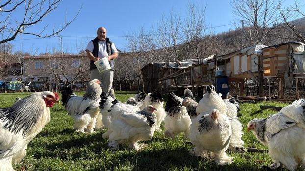 Hobiyle başladı, tutkuya dönüştü! Evinin bahçesini onlarla doldurdu