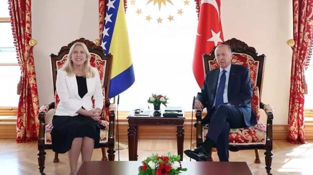 Cumhurbaşkanı Erdoğan, Jelka Sviyanoviç'i kabul etti