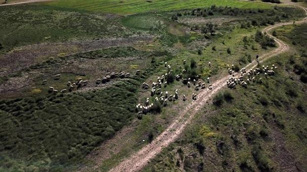 Üzerinde koyun otlattıkları barajda şimdi balık avlıyorlar! Bursa'daki barajın son hali sevindirdi