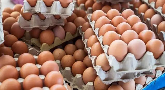 Yumurta fiyatlarında dikkat çeken değişim! Nedeni belli oldu