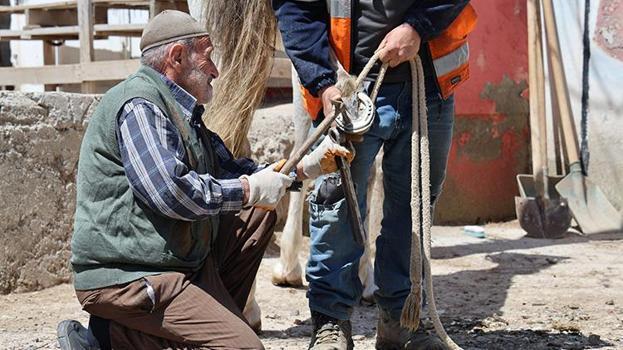 Yaşıtları emekliliğin keyfini sürerken o köy köy dolaşıyor! Sivaslı nalbant, son temsilcisi olduğu mesleğini koruyor