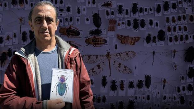 İş yerinin bahçesinde gördü, 19 yeni tür keşfetti! Dünya artık eşi ve çocuğunun ismiyle tanıyacak