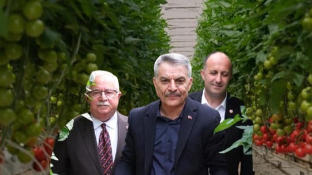Özel su ile ısıtıldı, tonlarca üretildi! İlk hasat yapıldı, yurt dışına kapış kapış gidiyor