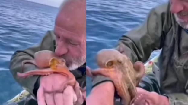 Aydın'da ağına ahtapot takılan balıkçının, yaptığı şaşkınlık yarattı