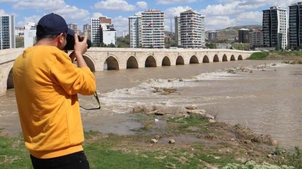 Dünya onu arıyor, Sivas'ta tesadüfen yakalandı! Kuş sandı, yakından bakınca gözlerine inanamadı