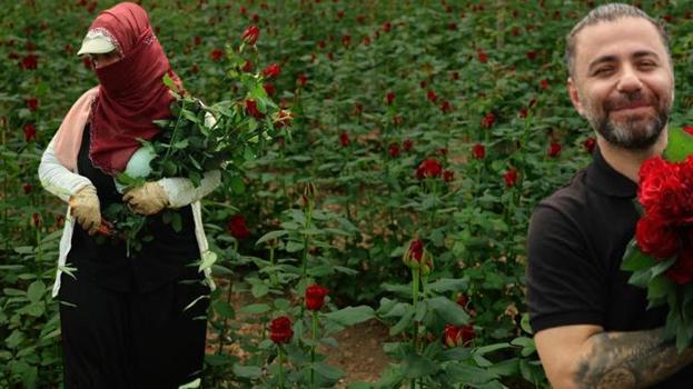Sayılı günler kaldı! Hasat başladı, Adana'dan 81 ile gönderiliyor, 100 TL'lik ürünü bu sene bedava verecekler