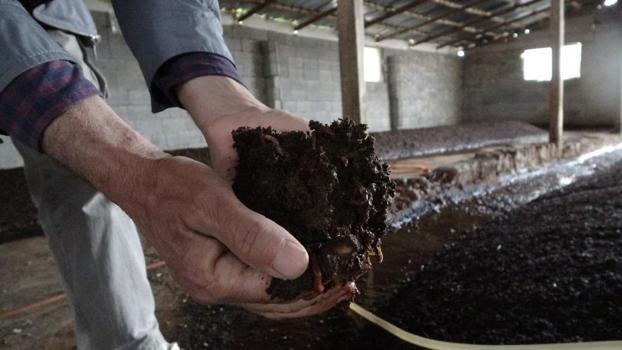 Malatyalı çiftçi dünyaya yeni yöntem hediye etti! Yüzde 30 verim artışı var: Litresi 150 TL