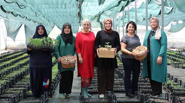 Ata tohumunun etrafında güçlerini birleştiren kadınlar hayallerini gerçekleştirdi! Kocaeli'nde üretime başladılar
